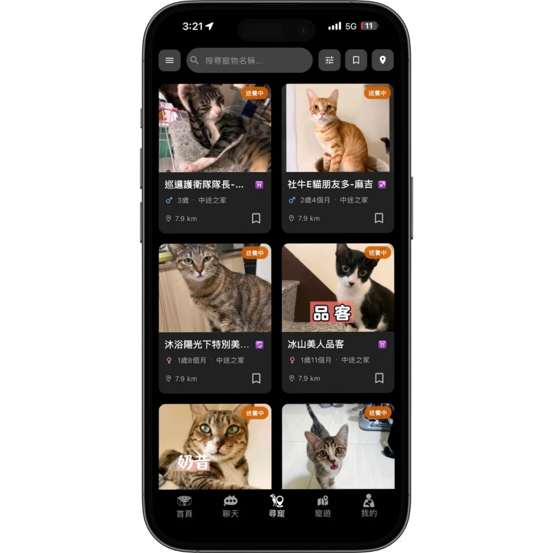 探索身邊等待領養的毛孩