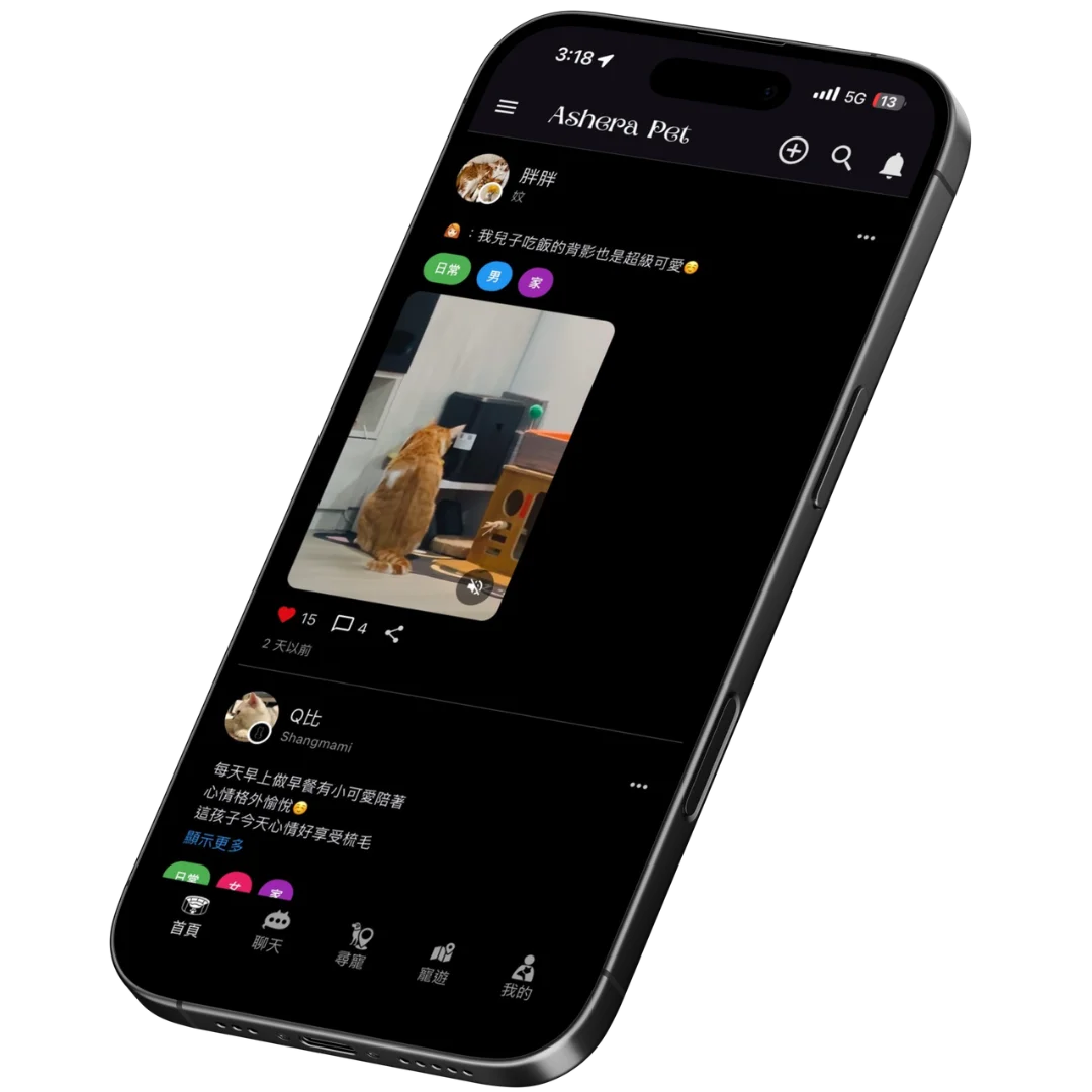 Ashera Pet App Screenshot